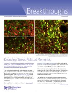 Feinberg School of Medicine Research Office  March 2015 BreakDecoding Stress-Related Memories throughs