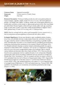 Lonicera japonica Thunb. Caprifoliaceae/Honeysuckle Family Common Name: Synonymy: Origin: