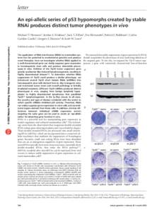 letter An epi-allelic series of p53 hypomorphs created by stable RNAi produces distinct tumor phenotypes in vivo Published online 3 February 2003; doi:ng1091