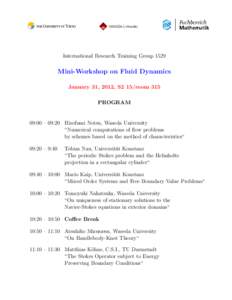 International Research Training GroupMini-Workshop on Fluid Dynamics January 31, 2012, S2 15/room 315 PROGRAM