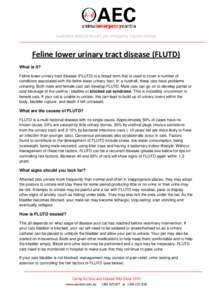 Australia’s state-of-the-art pet emergency trauma centres  Feline lower urinary tract disease (FLUTD) What is it? Feline lower urinary tract disease (FLUTD) is a broad term that is used to cover a number of conditions 