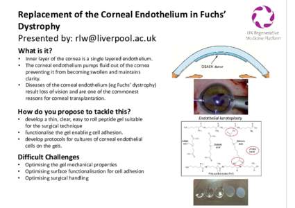 Replacement of the Corneal Endothelium in Fuchs’ Dystrophy Presented by:  What is it? • •