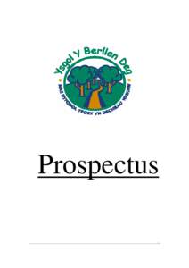Prospectus -1- General Information Ysgol Y Berllan Deg Circle Way East,
