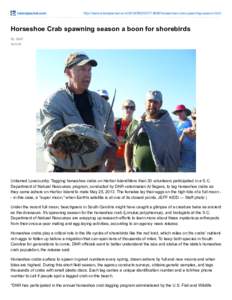 islandpacket.com  http://www.islandpacket.com[removed][removed]horseshoe-crab-spawning-season.html Horseshoe Crab spawning season a boon for shorebirds By Staff