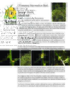 Of interest this week at Beal... Russian thistle Salsola kali W. J. Beal