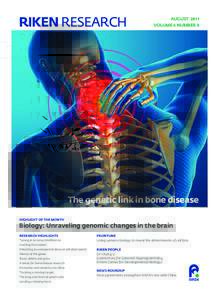 RIKEN RESEARCH  AUGUST 2011 VOLUME 6 NUMBER 8  The genetic link in bone disease