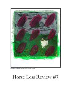 Untitled (Polaroid & Oil Stick), Drew Kunz  Horse Less Review #7 5 Jess Wigent