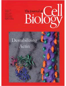 Actin Depolymerizing Factor Stabilizes an Existing State of F-Actin and Can Change the Tilt of F-Actin Subunits Vitold E. Galkin,*‡ Albina Orlova,* Natalya Lukoyanova,*§ Willy Wriggers, and Edward H. Egelman* *Depar