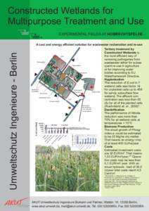 Constructed Wetlands for Multipurpose Treatment and Use EXPERIMENTAL FIELDS AT HOBRECHTSFELDE Umweltschutz Ingenieure - Berlin