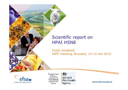 Scientific report on HPAI H5N8 Frank Verdonck PAFF meeting, Brussels, 13-14 Jan 2015  TERMS OF REFERENCE AND COLLABORATION