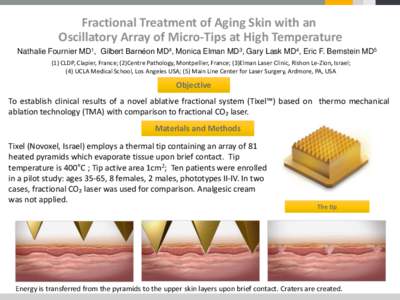 Fractional Treatment of Aging Skin with an Oscillatory Array of Micro-Tips at High Temperature Nathalie Fournier MD1, Gilbert Barnéon MD², Monica Elman MD3, Gary Lask MD4, Eric F. Bernstein MD5 (1) CLDP, Clapier, Franc