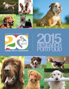 AMERICAN KENNEL CLUB  years CANINE HEALTH FOUNDATION  INTRODUCTION