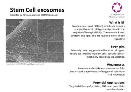 Stem Cell exosomes Presented by: Tommaso Leonardi <> What is it?  Exosomes are small (100nm) membrane vesicles