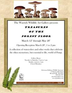 The Wayrick Wildlife Art Gallery presents Treasures of the Forest Floor  March 12th through May 28th