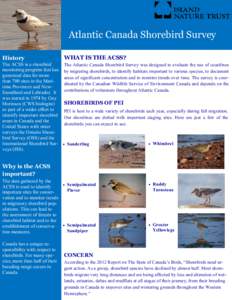 Atlantic Canada Shorebird Survey History WHAT IS THE ACSS?  The ACSS is a shorebird