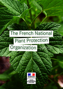 The French National Plant Protection Organization (NPPO) 3 1. Our main missions