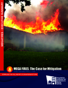 MEGAFIRES - EXECUTIVE SUMMARY  MEGA FIRES: The Case for Mitigation The Witch Creek Wildfire, October 21 – 31, 2007  DOWNLOAD THE FULL REPORT AT DISASTERSAFETY.ORG