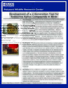 Patuxent Wildlife Research Center  Development of a 2-Generation Test for Endocrine Active Compounds in Birds •	 The Challenge: The release into the environment of natural and synthetic hormones, antibiotics, preservat