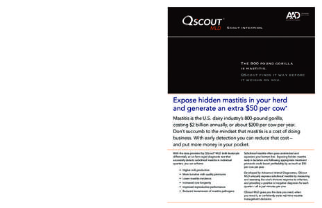 ®  Scout infection. Scout infection. Prompt diagnosis and treatment of subclinical mastitis