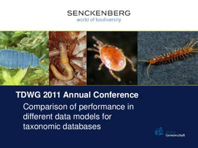 TDWG 2011 Annual Conference Comparison of performance in different data models for taxonomic databases  Overview