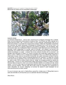 SOCIÉTÉ Clicanoo.com / publié le 12 décembre06h33 Danse dans les arbres avec les chrysalides d’Artmayage SAINTE-ROSE Le spectacle intitulé Ravaz… sizèr lo swar, proposé par la compagnie Artmayage hier,