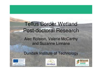 Tellus Border Wetland Post-doctoral Research Alec Rolston, Valerie McCarthy and Suzanne Linnane Dundalk Institute of Technology