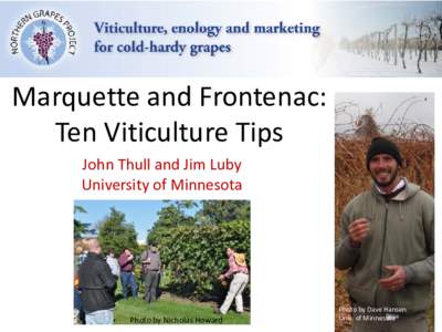 Marquette and Frontenac: Ten Viticulture Tips John Thull and Jim Luby University of Minnesota  Photo by Nicholas Howard