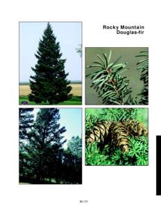 Rocky Mountain Douglas-fir slide 74a 40%