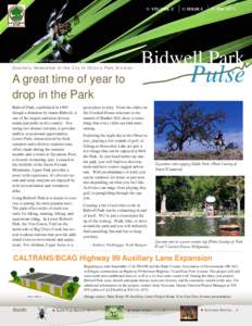 VOLUME 2  (Photo Courtesy of Robert Woodward). Quarterly Newsletter of the City of Chico’s Park Division  Using Bidwell Park as a means to exercise is among the most popular uses.