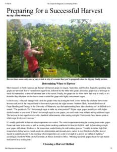 The Grapevine Magazine | Contributing Writers Preparing for a Successful Harvest By By: Dana Hinders