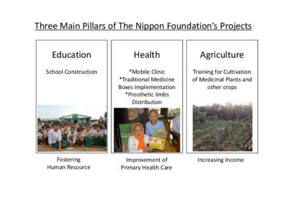 Three Main Pillars of The Nippon Foundation’s Projects Education Health  Agriculture