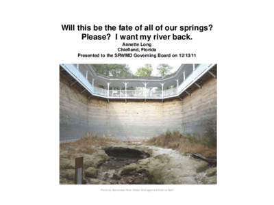 Will this be the fate of all of our springs? Please? I want my river back. Annette Long Chiefland, Florida Presented to the SRWMD Governing Board on