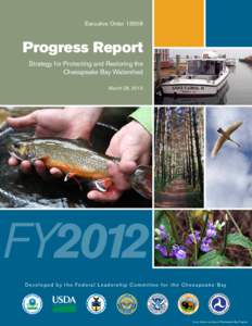 Executive OrderProgress Report Strategy for Protecting and Restoring the Chesapeake Bay Watershed March 28, 2013