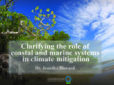 Clarifying the role of coastal and marine systems in climate mitigation Dr. Jennifer Howard  MITIGATING CLIMATE CHANGE