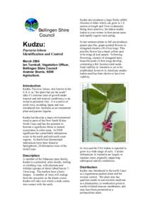 Bellingen Shire Council Kudzu: Pueraria lobata Identification and Control