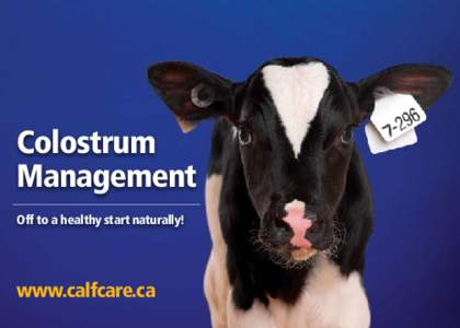 Colostrum Management Off to a healthy start naturally! www.calfcare.ca