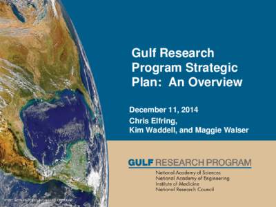 Gulf Research Program Strategic Plan: An Overview