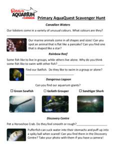Shark / Tetraodontidae / Jellyfish / Grouper / Spawn / Fish / Ichthyology / Sawfish