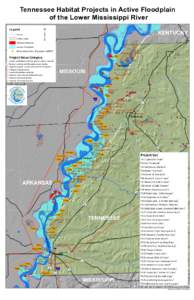 Tennessee Habitat Projects in Active Floodplain of the Lower Mississippi River ³  Legend