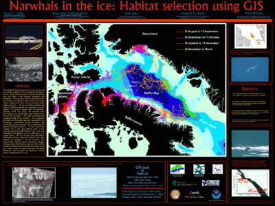 Narwhals in the ice: Habitat selection using GIS Mads Peter Heide-Jørgensen Kristin L. Laidre  Pierre Richard