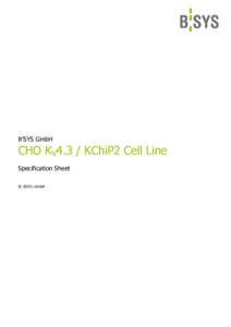 B’SYS GmbH  CHO KV4.3 / KChiP2 Cell Line Specification Sheet © B’SYS GmbH