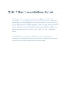 MrSID: A Modern Geospatial Image Format
