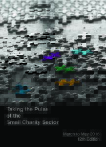 Taking the Pulse of the Small Charity Sector December 2015 to February 2016 March to May 2016