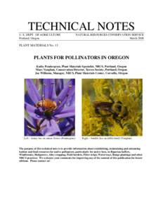 Oregon Plants for Pollinators