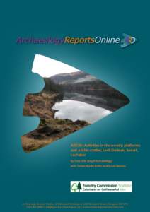 ARO20: Activities in the woods: platforms and a lithic scatter, Loch Doilean, Sunart, Lochaber by Clare Ellis (Argyll Archaeology) with Torben Bjarke Ballin and Susan Ramsay