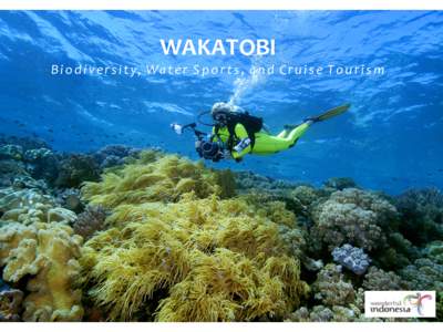 Diving the reefs at Wakatobi present underwater photographers a target rich environment