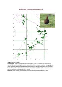 Red Grouse (Lagopus lagopus scotica)  Status: Common breeder. Current trend: Although the bird has disappeared from some of its former upland haunts e.g. Carrick Hills, it still has strongholds in the East and North of t
