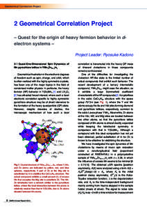 Geometrical Correlation Project  2 Geometrical Correlation Project – Quest for the origin of heavy fermion behavior in delectron systems – Project Leader: Ryosuke Kadono 2-1 Quasi-One-Dimensional Spin Dynamics of