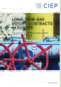 LONG-TERM GAS IMPORT CONTRACTS IN EUROPE THE EVOLUTION IN PRICING MECHANISMS LUCA FRANZA