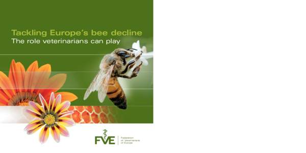 Tackling Europe’s bee decline The role veterinarians can play Federation of Veterinarians of Europe